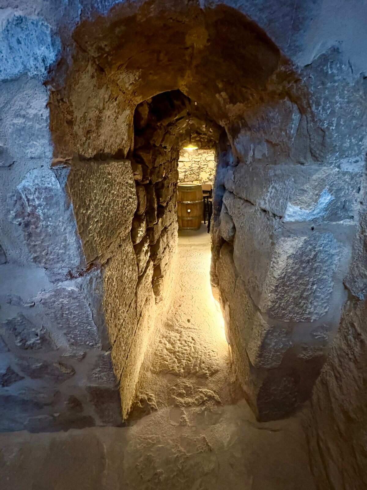Túnel abovedado de la bodega excavada bajo la casa
